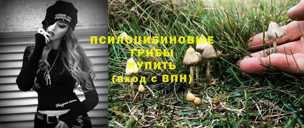 альфа пвп Заводоуковск